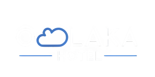 Footer Logo
